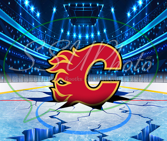 HockeySmash6