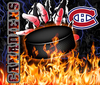 hockeyfirehands8