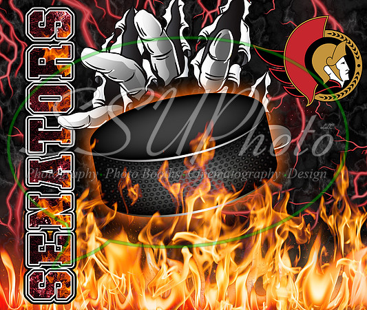 hockeyfirehands22