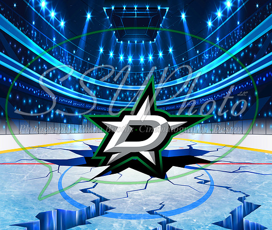 HockeySmash11