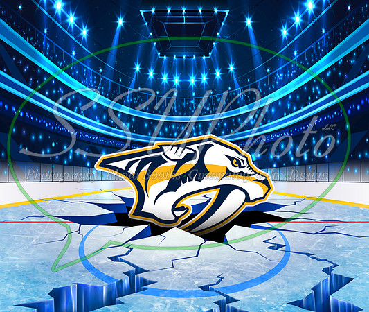 HockeySmash18