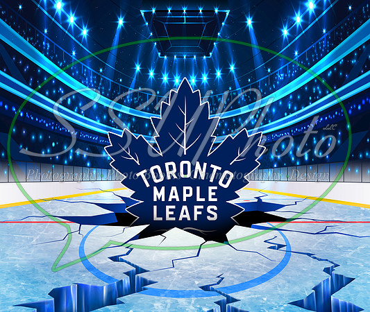 HockeySmash28