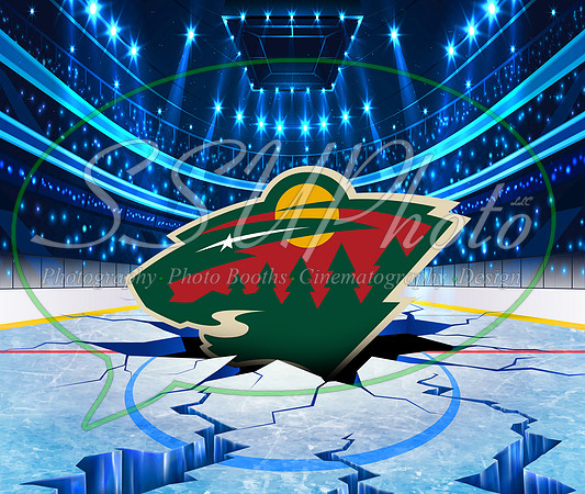 HockeySmash16