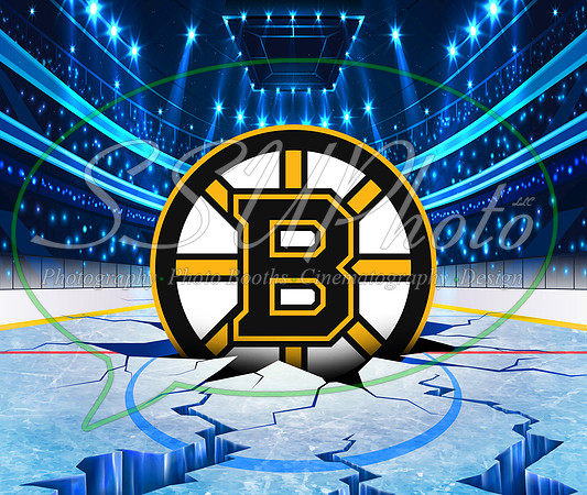 HockeySmash1