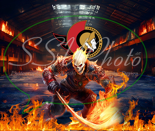 hockeyskulls21