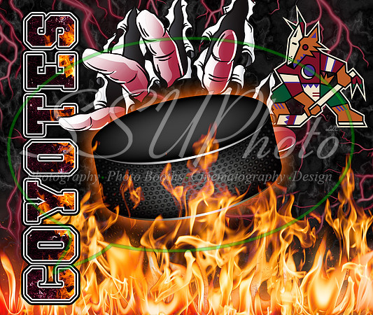 hockeyfirehands14