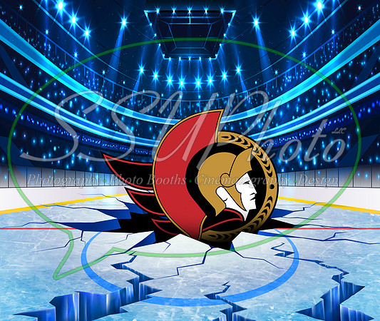 HockeySmash21