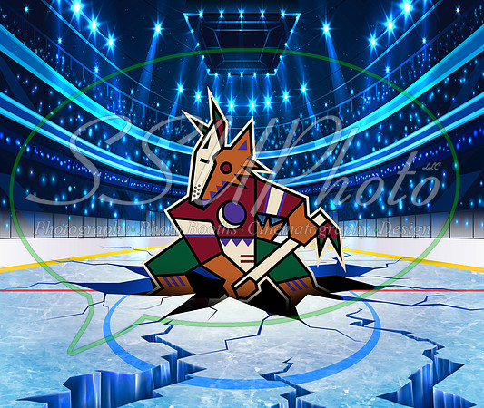 HockeySmash4