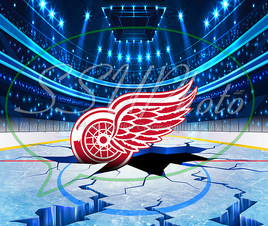HockeySmash12