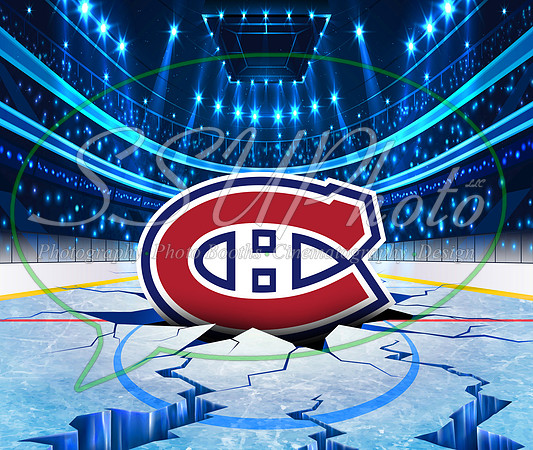 HockeySmash17