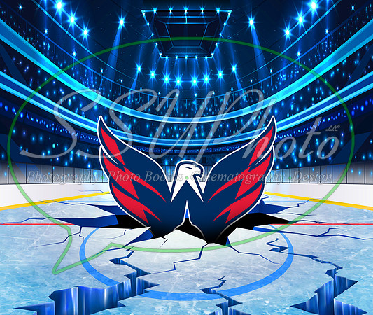 HockeySmash31