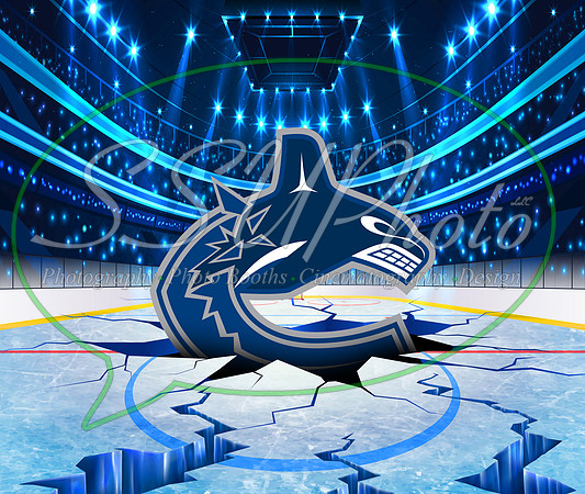HockeySmash29