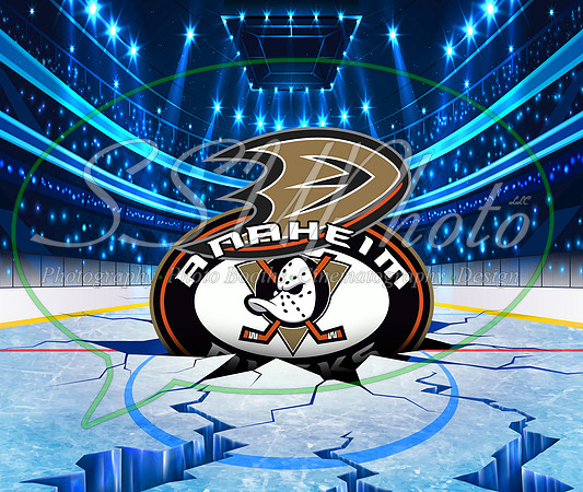 HockeySmash3