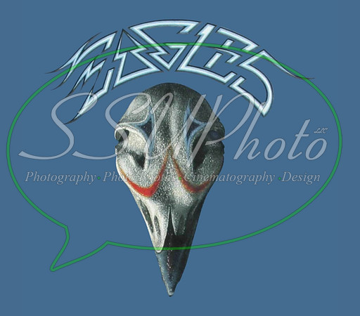 Classic Rock  (41)