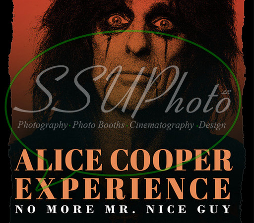 Classic Rock  (29)
