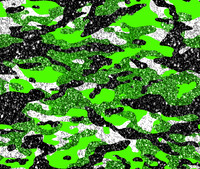 CamoGlitter2