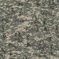 Vets4