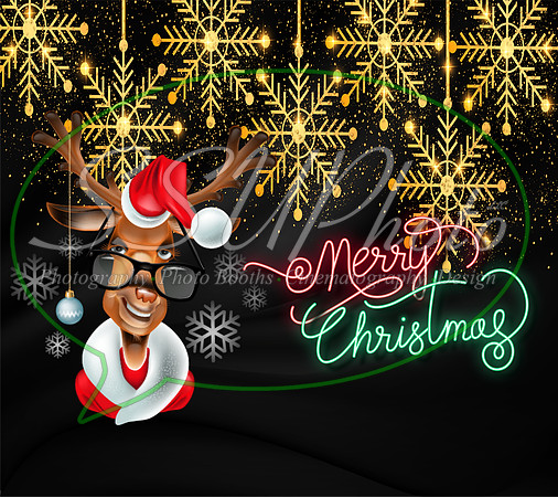 christmas219