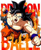 dragonball (8)