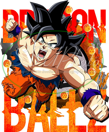 dragonball (8)