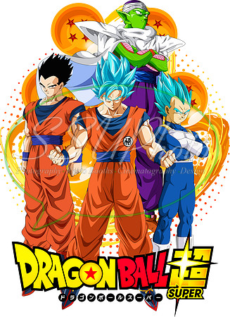 dragonball (41)