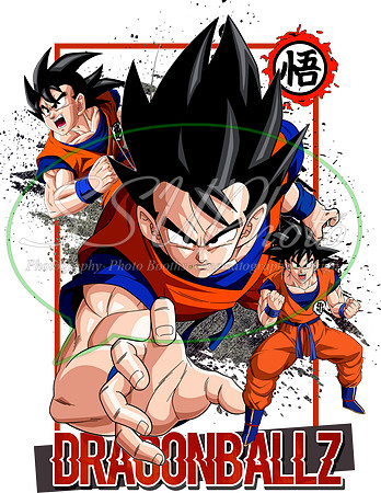 dragonball (6)