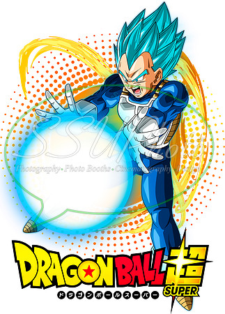 dragonball (27)