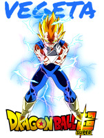 dragonball (15)