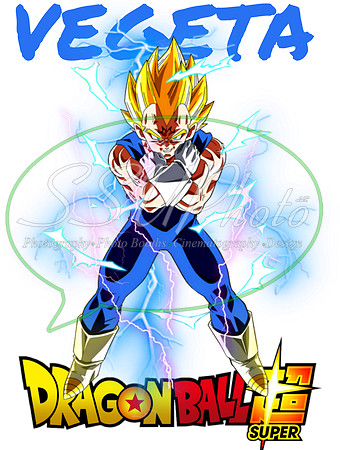 dragonball (15)