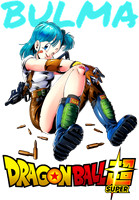 dragonball (11)