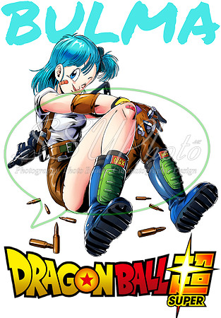 dragonball (11)