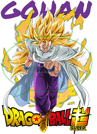 dragonball (22)