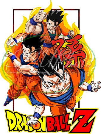 dragonball (5)