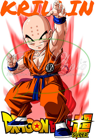 dragonball (12)