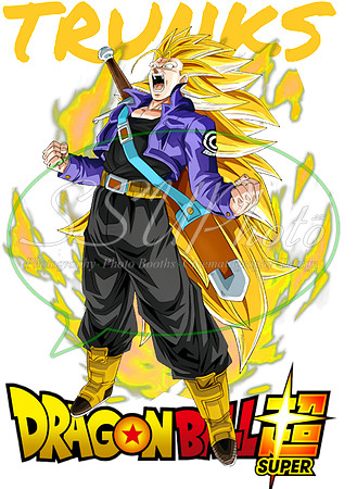 dragonball (21)