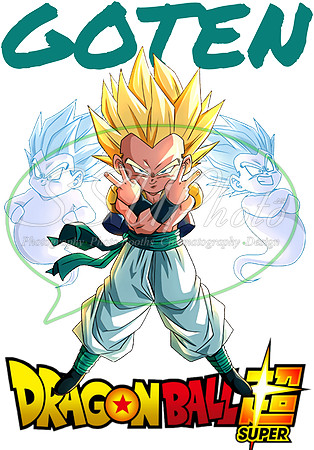 dragonball (13)