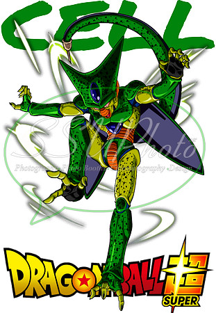 dragonball (20)