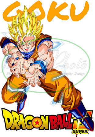 dragonball (14)
