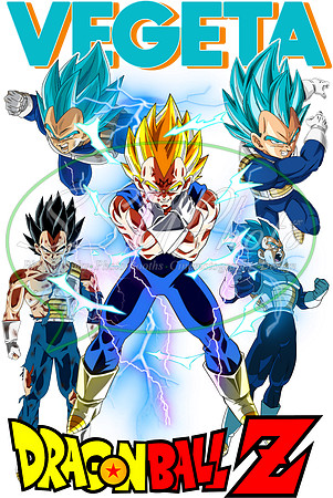 dragonball (43)