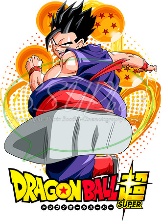dragonball (32)
