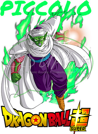 dragonball (19)
