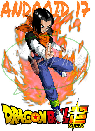 dragonball (18)