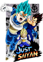 dragonball (3)