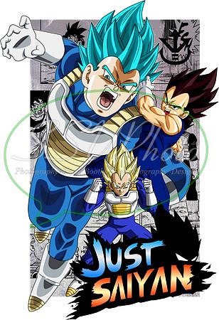 dragonball (3)