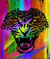 PopArtAnimals13