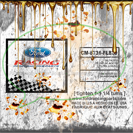 FordRacing5