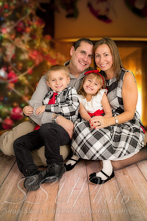 rosachristmas201500034