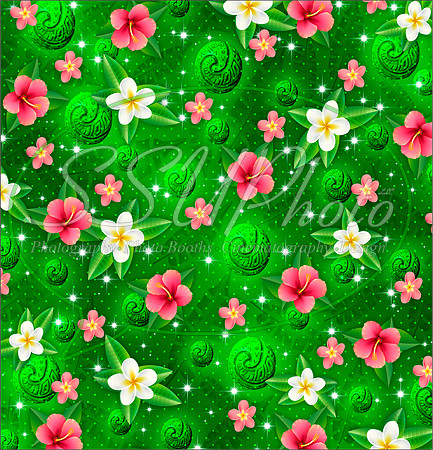 Maona3