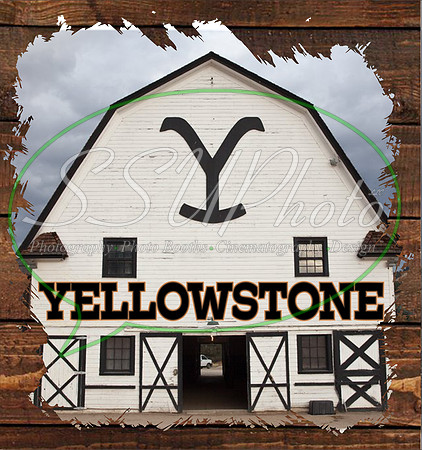 8Yellowstone