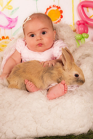 Sullivaneaster0086